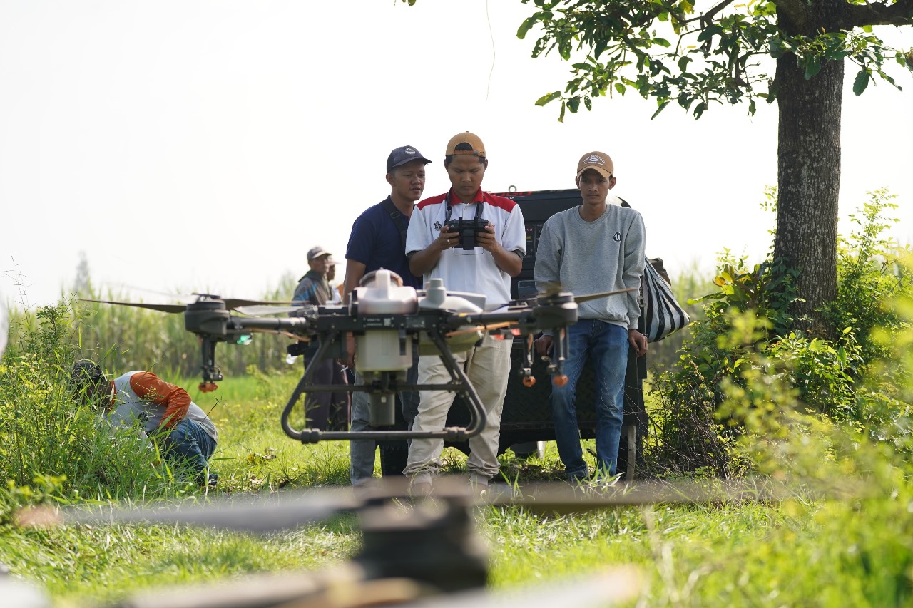Satu unit drone menyemprotkan pupuk mikro secara merata agar tanaman padi yang baru terendam air bah bisa tetap dipanen dalam beberapa bulan ke depan.