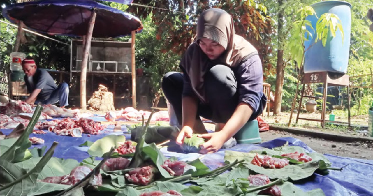 Panitia kurban membungkus daging dengan daun jati.