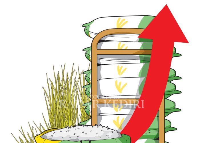 ILUSTRASI KENAIKAN BERAS