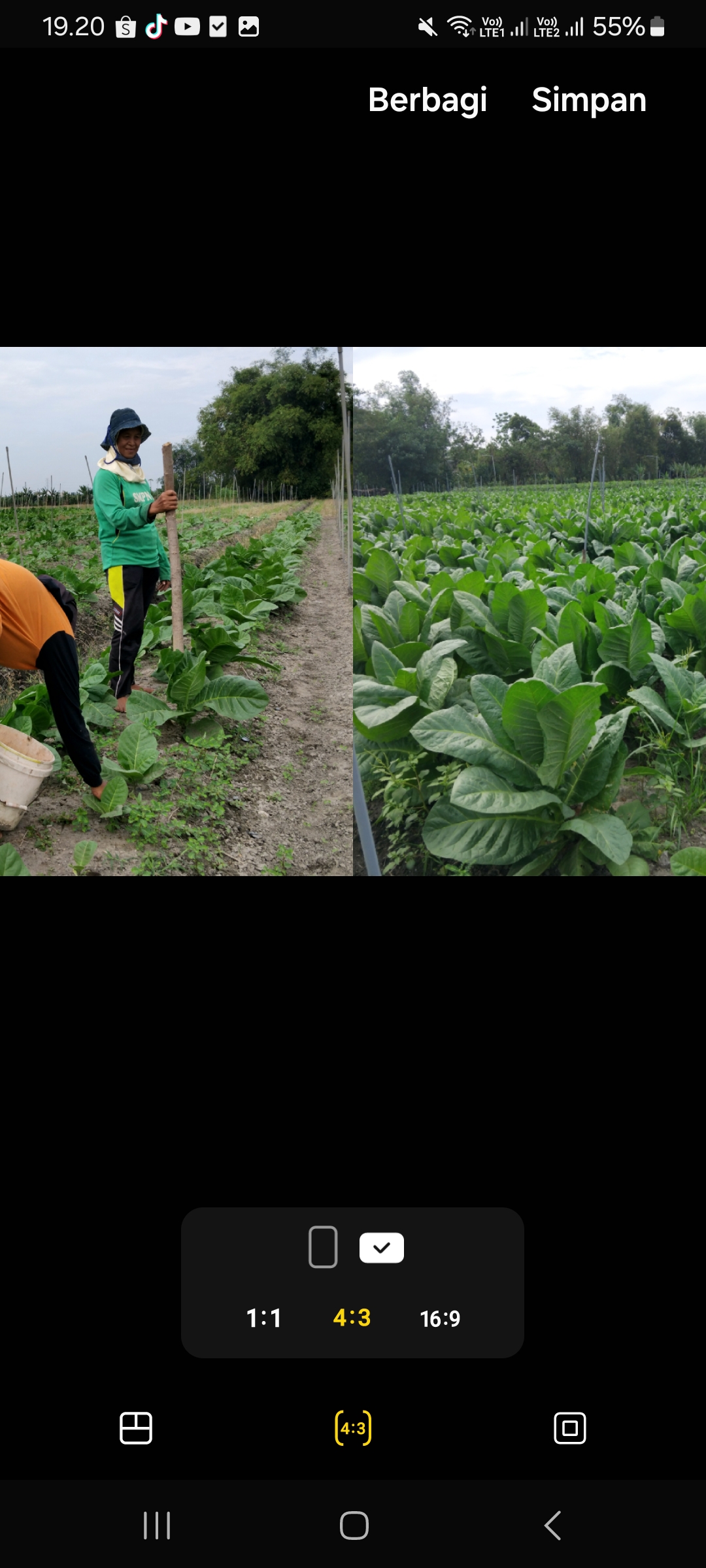Petani tembakau kediri