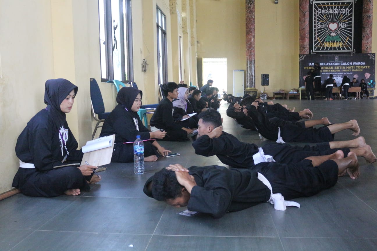 Urutan tingkatan sabuk di PSHT