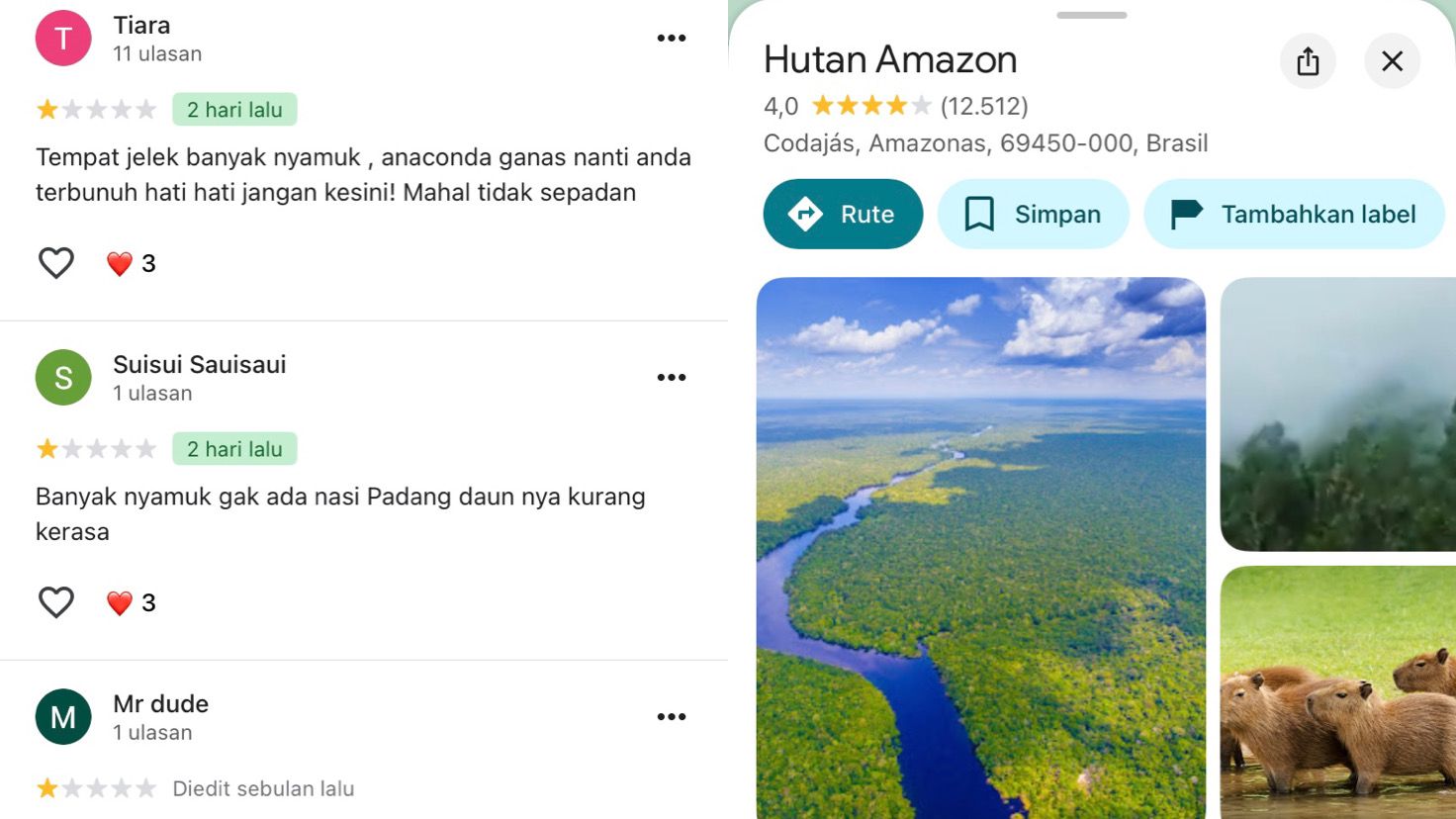 Setelah Gunung Rinjani diserbu rating bintang 1 oleh warganet Brasil, kini giliran Hutan Amazon yang menjadi sasaran kemarahan netizen Indonesia.