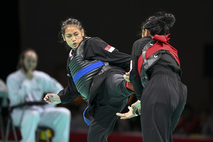 Daftar perguruan pencak silat yang terdaftar di IPSI
