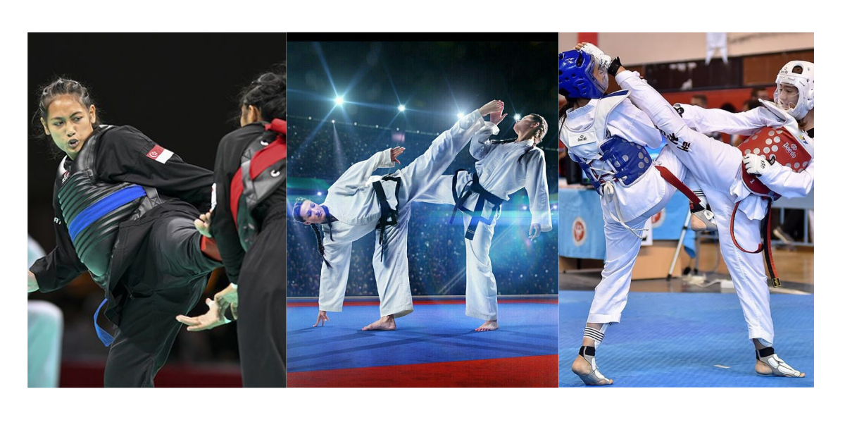 Perbedaan : Pencak Silat, Karate, Taekwondo