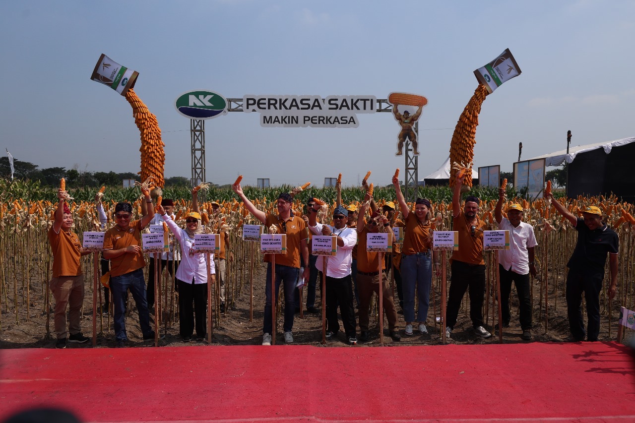 Wabup Dewi Mariya Ulfa bersama para undangan menunjukkan keunggulan benih jagung NK Perkasa Sakti dari Syngenta Indonesia yang jadi solusi masalah petani dalam penanaman di musim kemarau tahun ini.