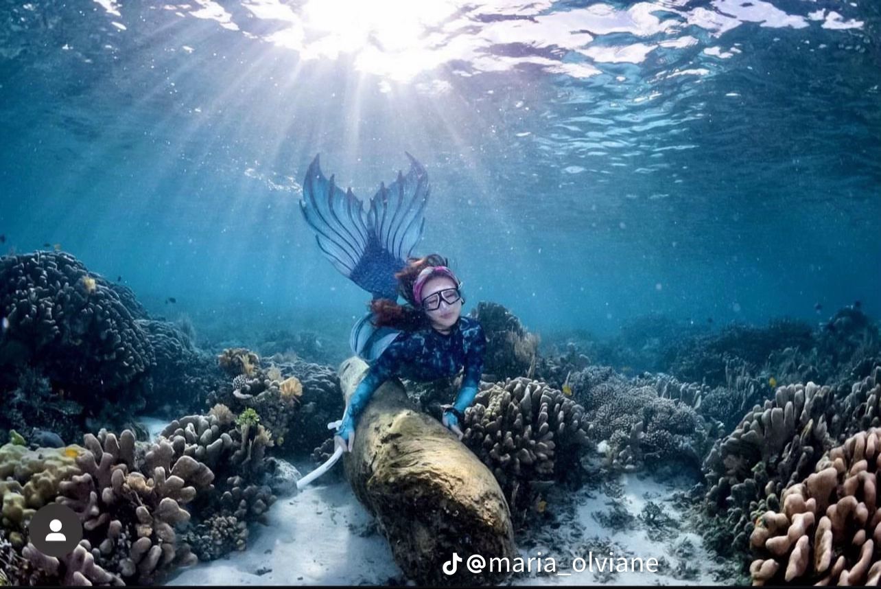 Gubernur Maluku Utara, Sherly Tjoanda hobi free diving dipuji netizen.