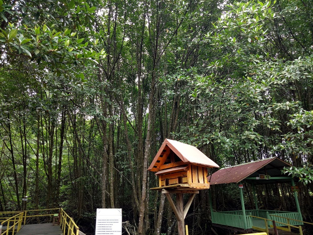 Salah satu spot di Kawasan Hutan Lindung Mangrove BSD Bontang Kaltim