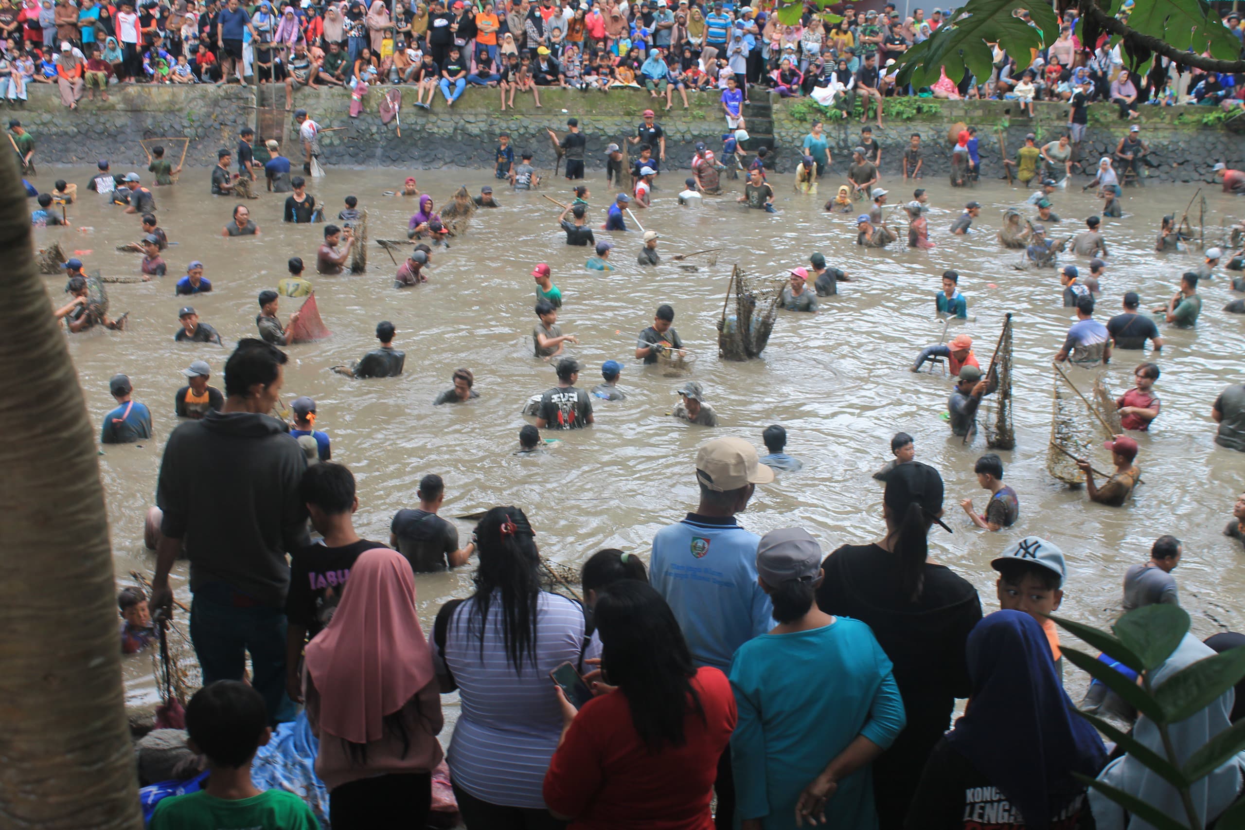 TRADISI GROBYOK: Warga Kediri tumpah ruah mencari ikan.