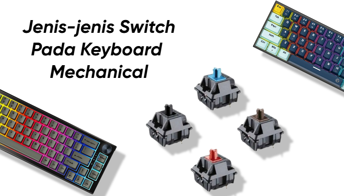 Jenis-Jenis Switch Pada keyboard Mechanical