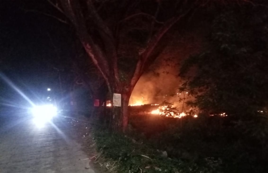 Lahan tebu di Plemahan terbakar.