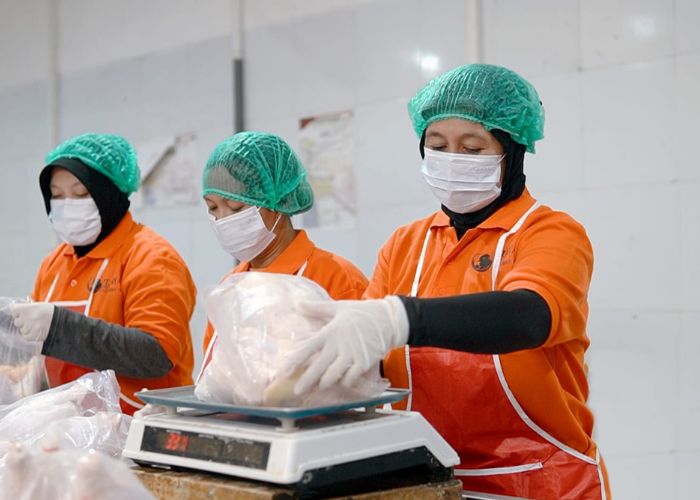 BERSIH DAN BERGIZI: Pekerja di PT Surya Kencana Slougtherhouse sedang menimbang daging ayam yang sudah dikemas untuk memenuhi kebutuhan makan bergizi gratis.
