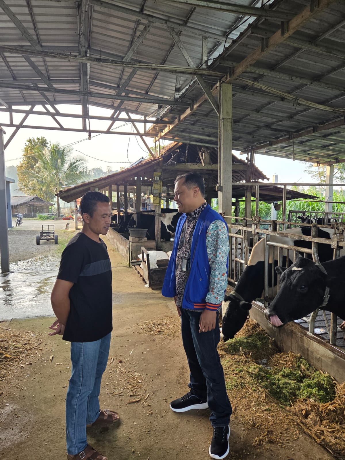 Pengusaha Pakan Ternak dari Ponorogo Ini Buktikan KUR BRI Bisa Bikin Usaha Berkembang