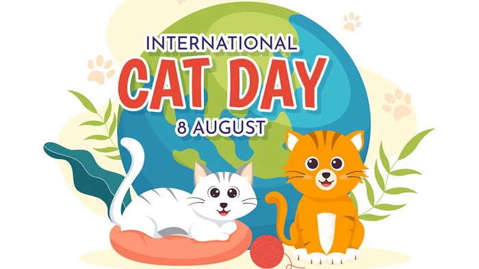 6 Link Twibbon Hari Kucing Sedunia 2024, Tujuan, dan Sejarahnya