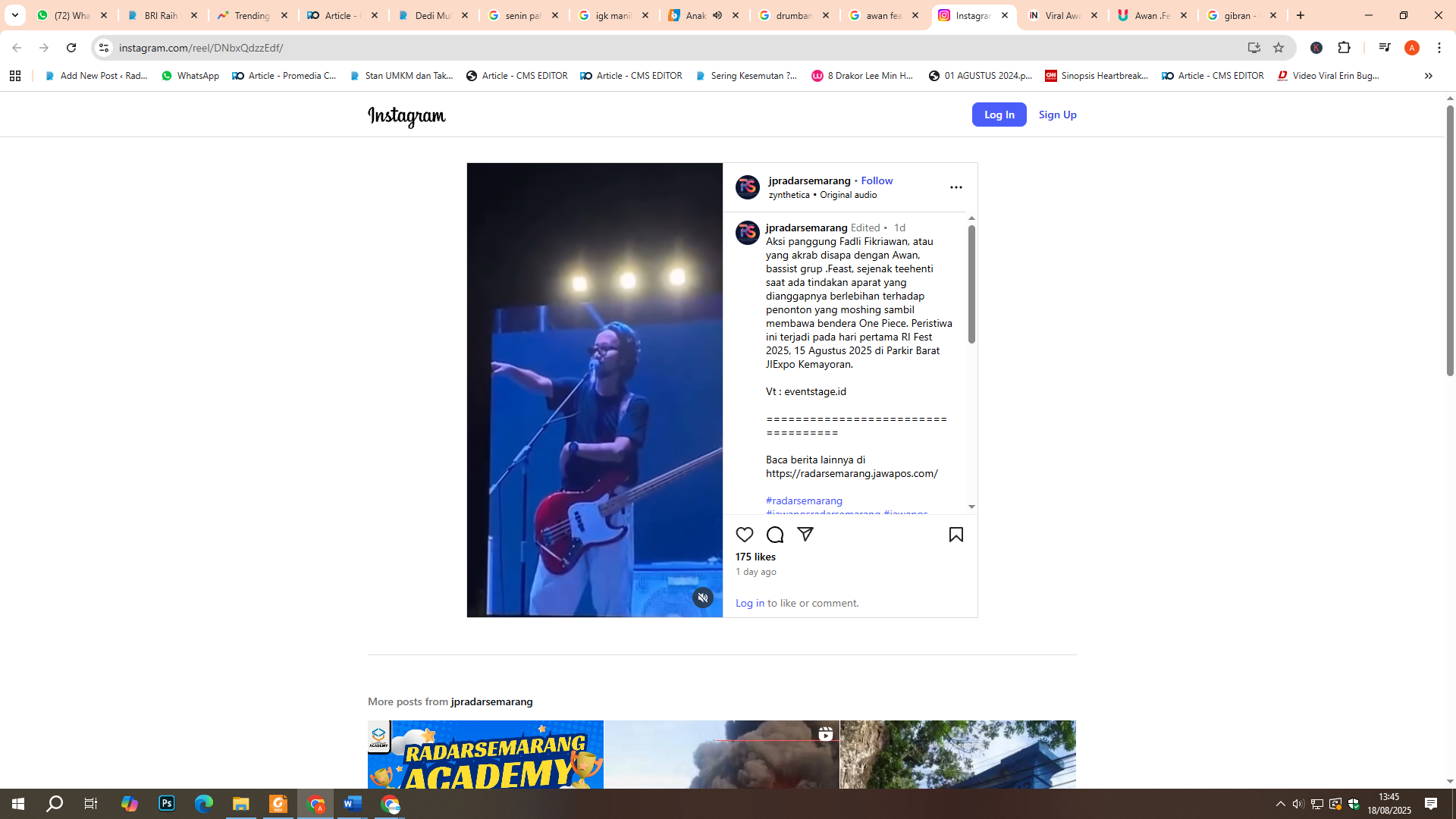 Awan .Feast Tegur Polisi yang Pukul Penonton Moshing Bawa Bendera One Piece