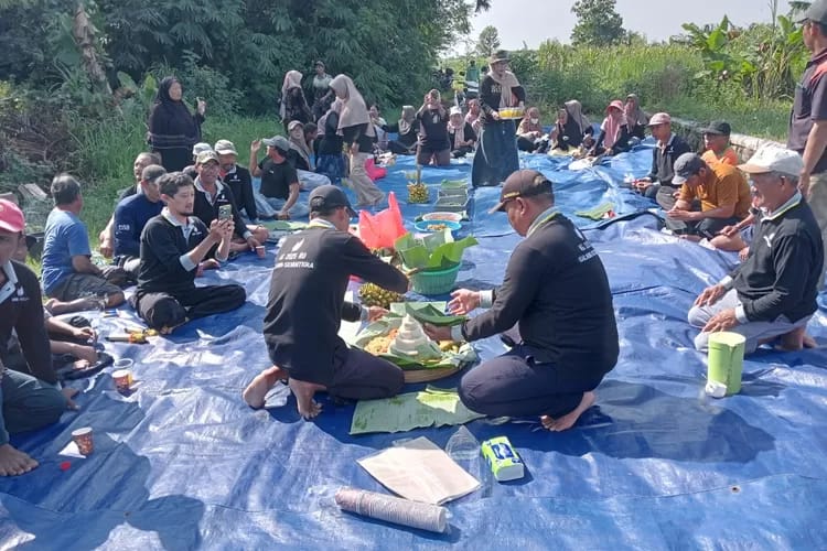 Dalam rangka mensyukuri hasil panen, petani di Desa Plosorejo, Gampengerjo melakukan syukuran