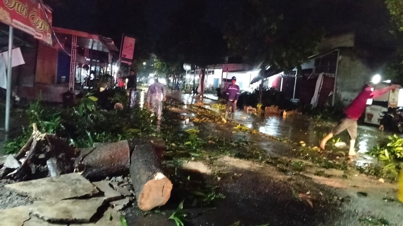 PORAK PORANDA: Pohon tumbang  yang telah dipotong bertebaran di tepi jalan.
