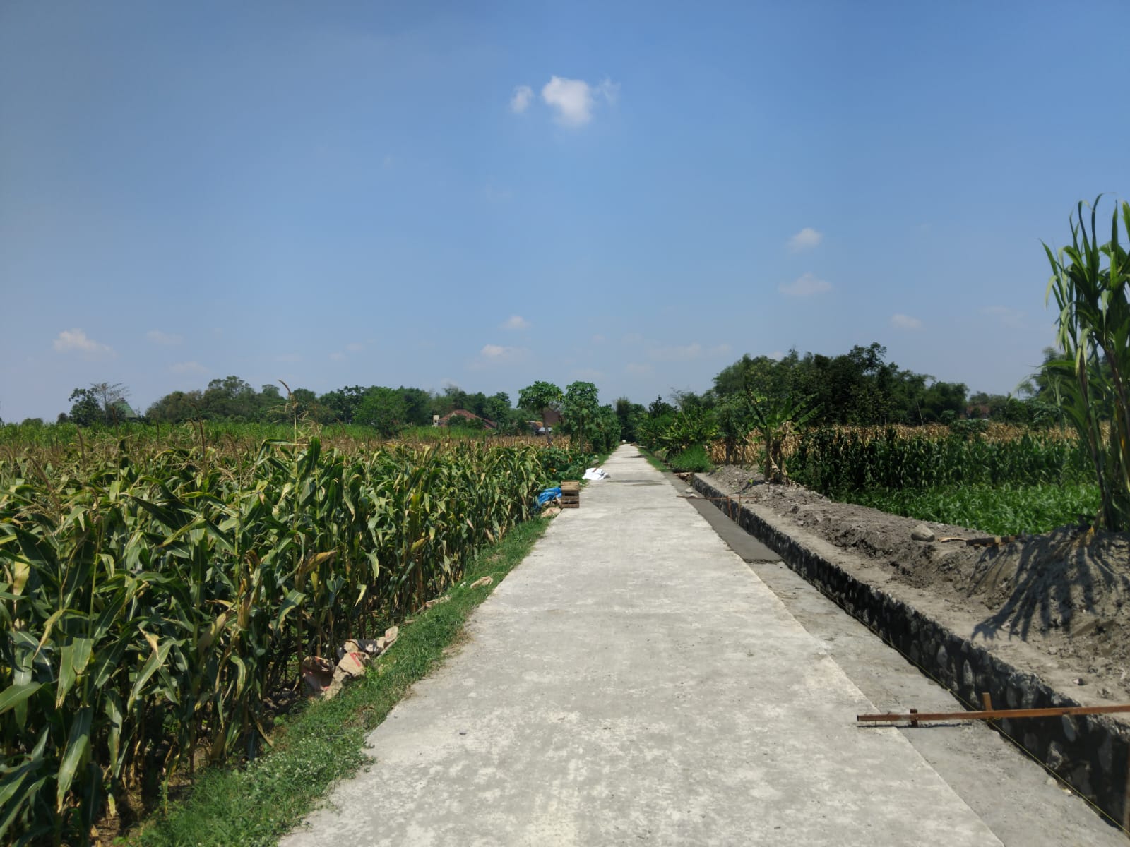 Jalan area persawahan di Desa Baye.