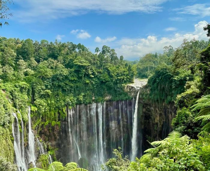 Pemandangan Tumpak Sewu Waterfall bak tirai air raksasa.
