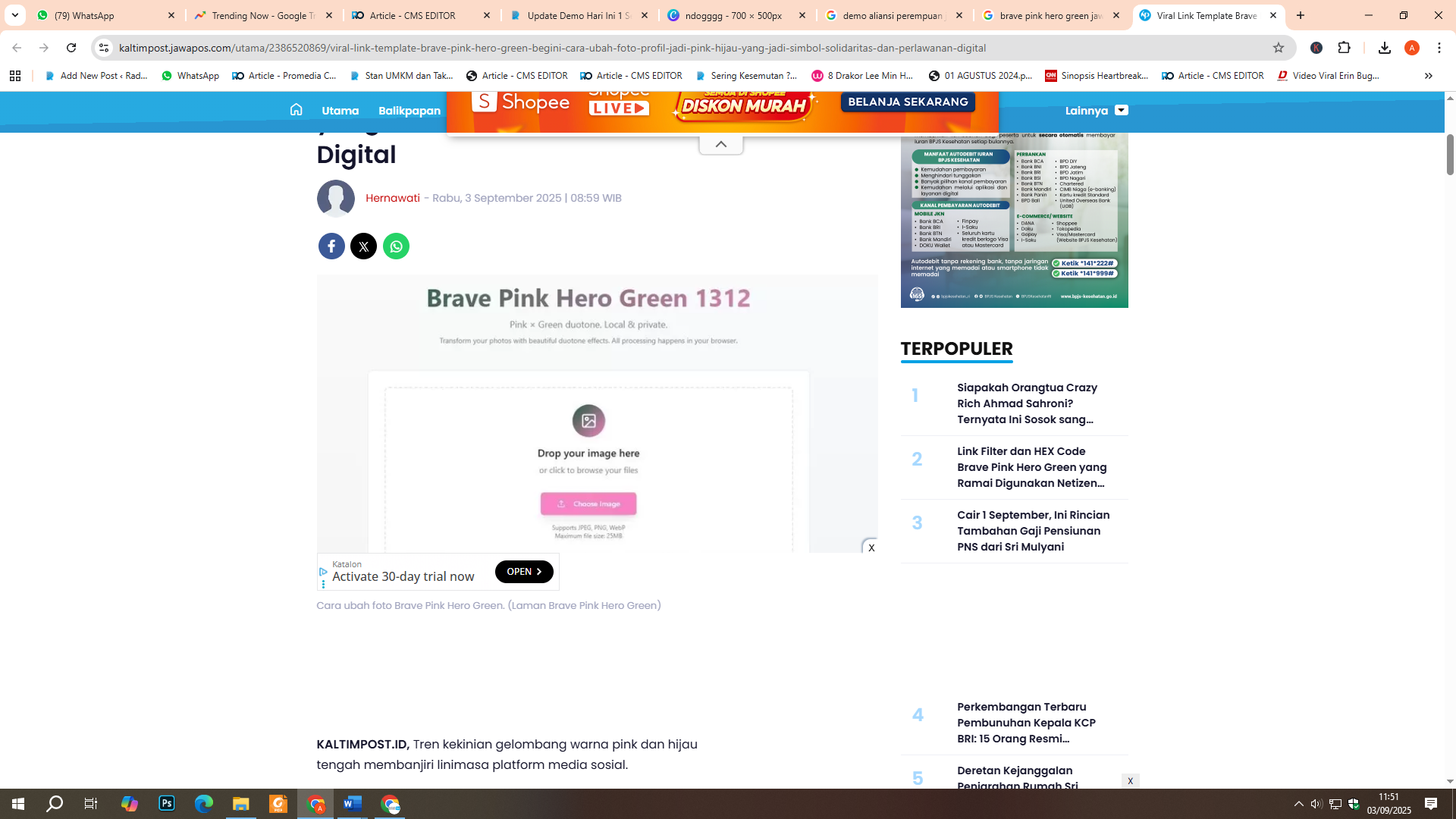 Link Brave Pink Hero green