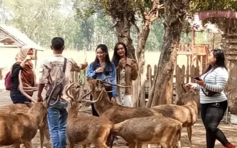 Suasana wisata Kesambi Tree