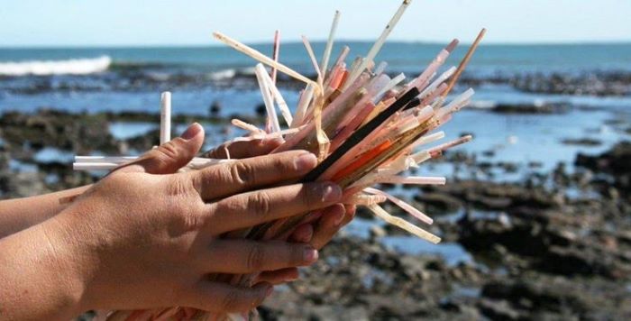 Sampah sedotan plastik bekas yang berakhir di laut