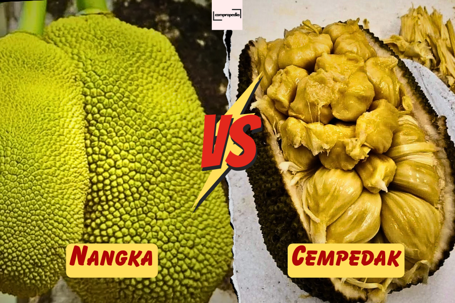 Cempedak vs nangka