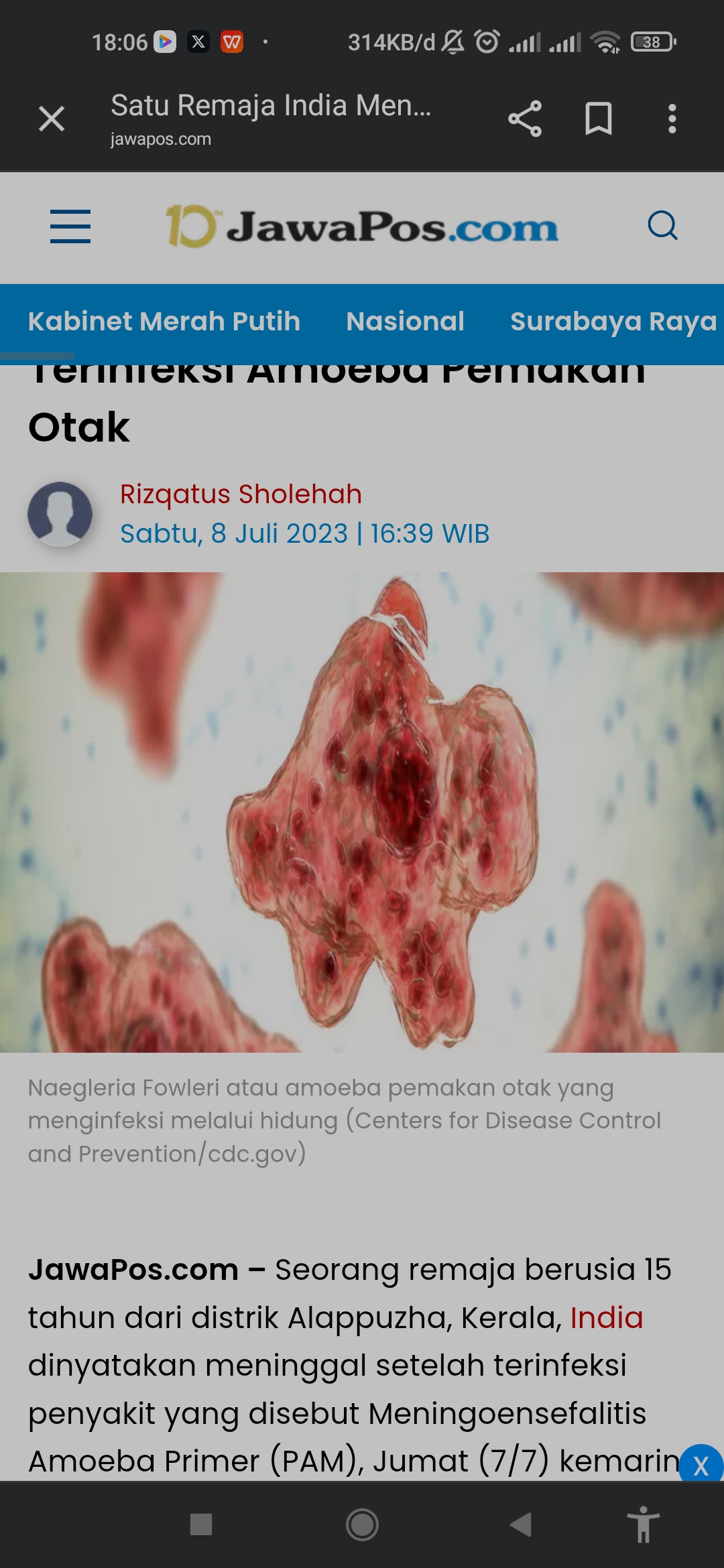 Ilustrasi amoeba pemakan otak