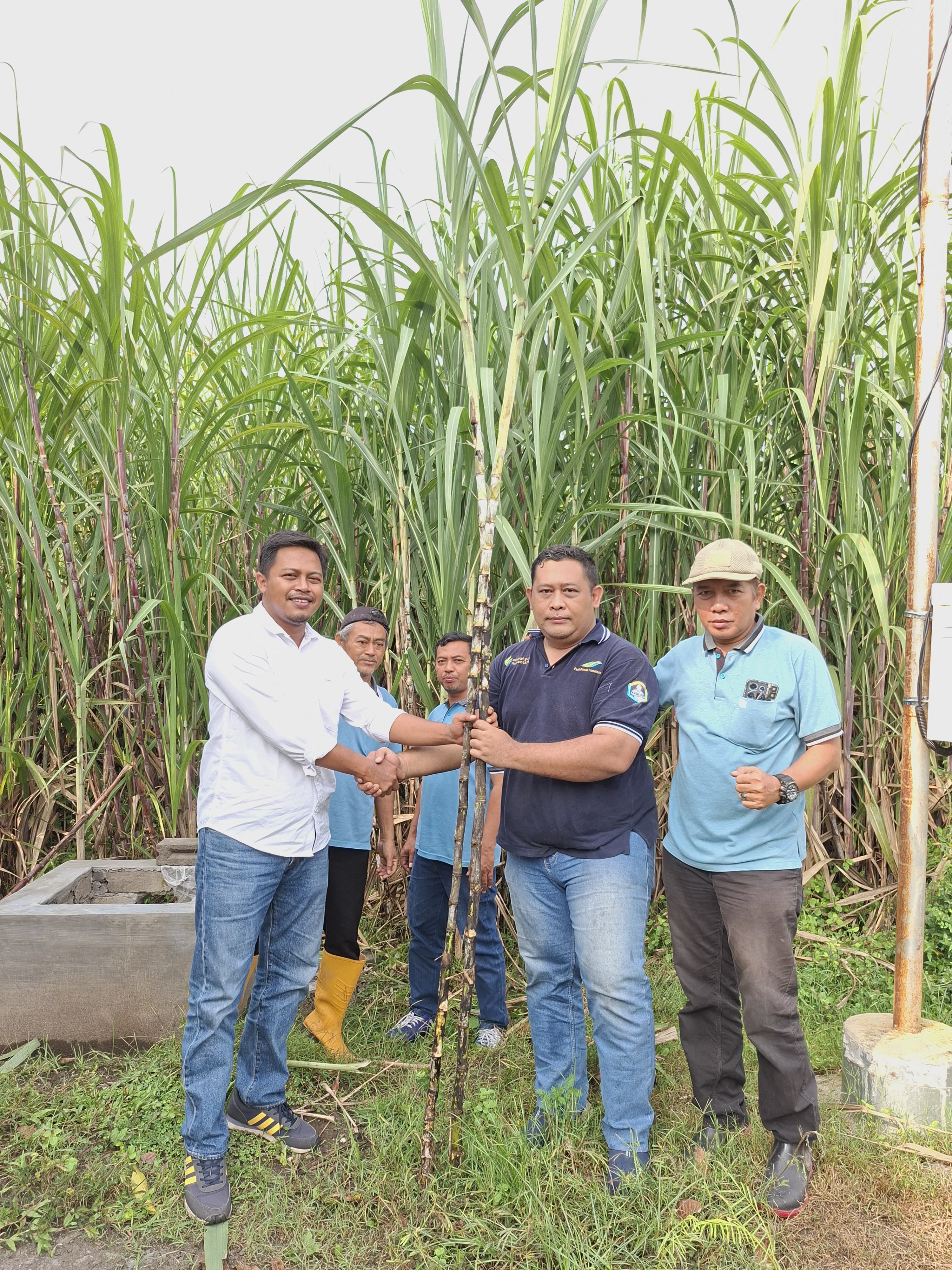 SINERGI: Tim PG Meritjan saat bersama petani tebu.