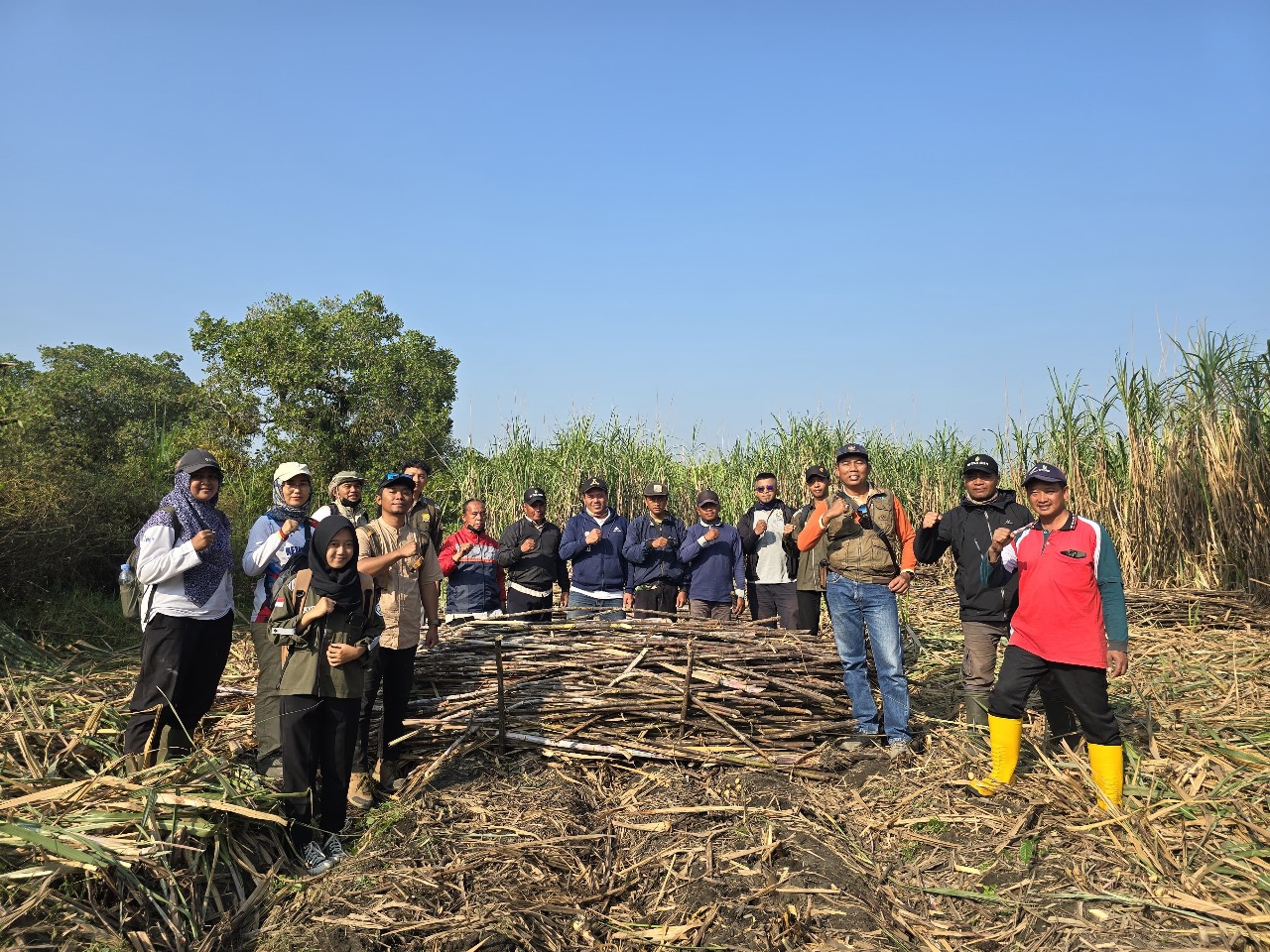 MELIMPAH: Tim PT SGN MKSO Kebun Dhoho foto bersama di lahan tebu.