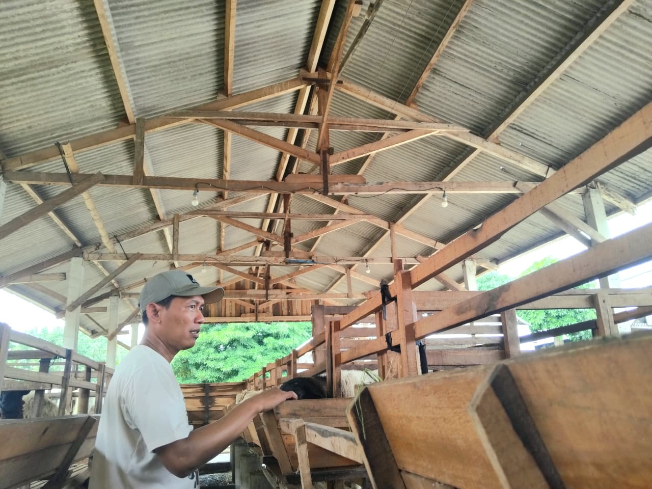 Kepala Desa Sitimerto Aditya Dimas Saputra mengecek kendang domba yang akan digunakan oleh Bumdes Lemah Gajah (Diana Yunita Sari)