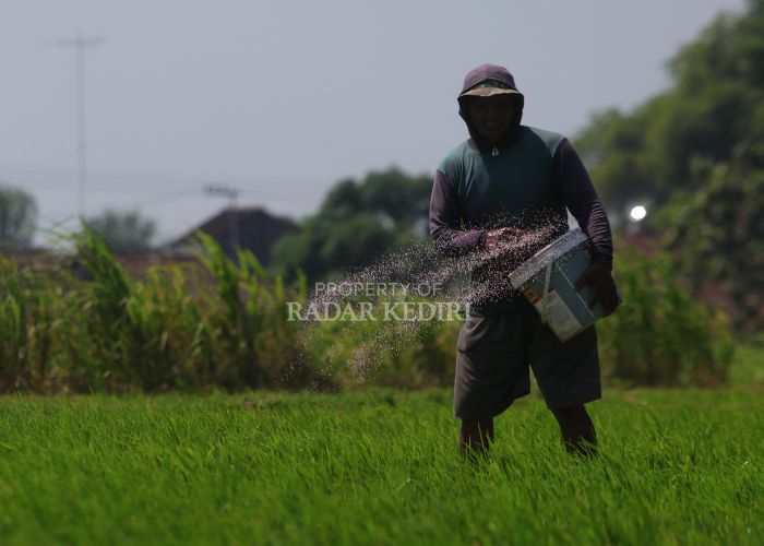 Potret petani di Banyakan, Kediri.