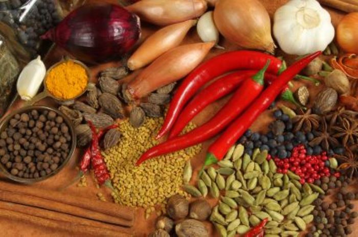 Bumbu dapur bisa diolah menjadi pestisida nabati