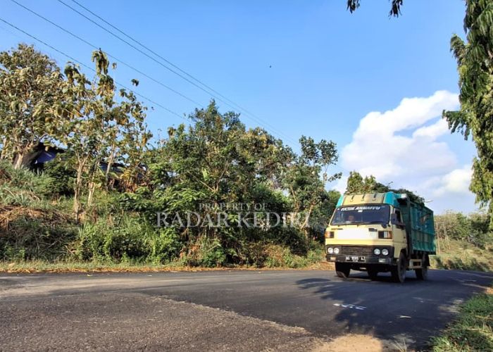 MULUS: Jalan akses menuju ke lokasi wisata Besuki.