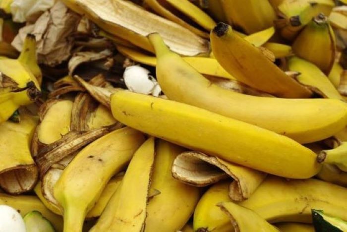 Kulit pisang dapat diolah menjadi pupuk organik yang menyuburkan tanah