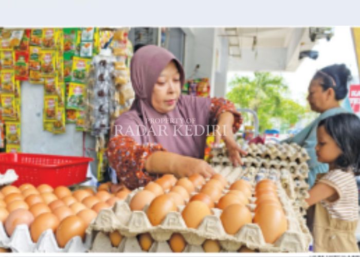HARGA TINGGI: Penjual telur di Pasar Setonobetek.