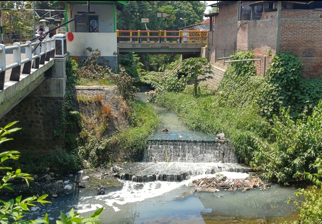 Pegiat lingkungan menyebut sungai Kedak Kota Kediri tercemar.