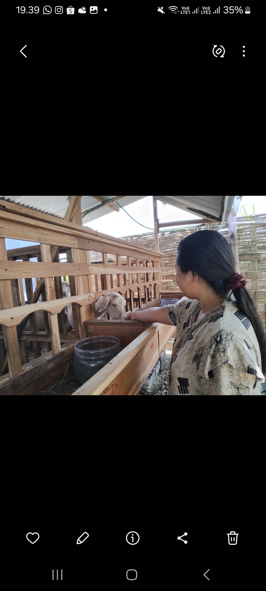 Warga mitra Bumdes memberi makan domba di kandang baru (Diana Yunita Sari)