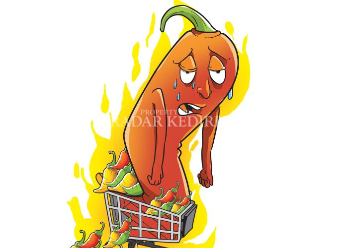 ILUSTRASI: Cabai lesu di Kediri.