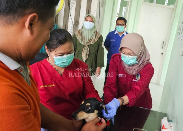 Vaksinasi rabies di Kabupaten Kediri.