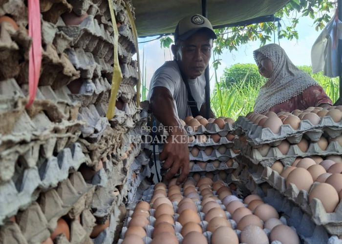 Penjual telur ayam di Pasar Ngadiluwih Kediri.
