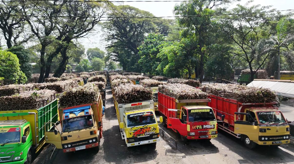 MUSIM GILING: Armada truk pengangkut tebu mengantre di PG Ngadiredjo.