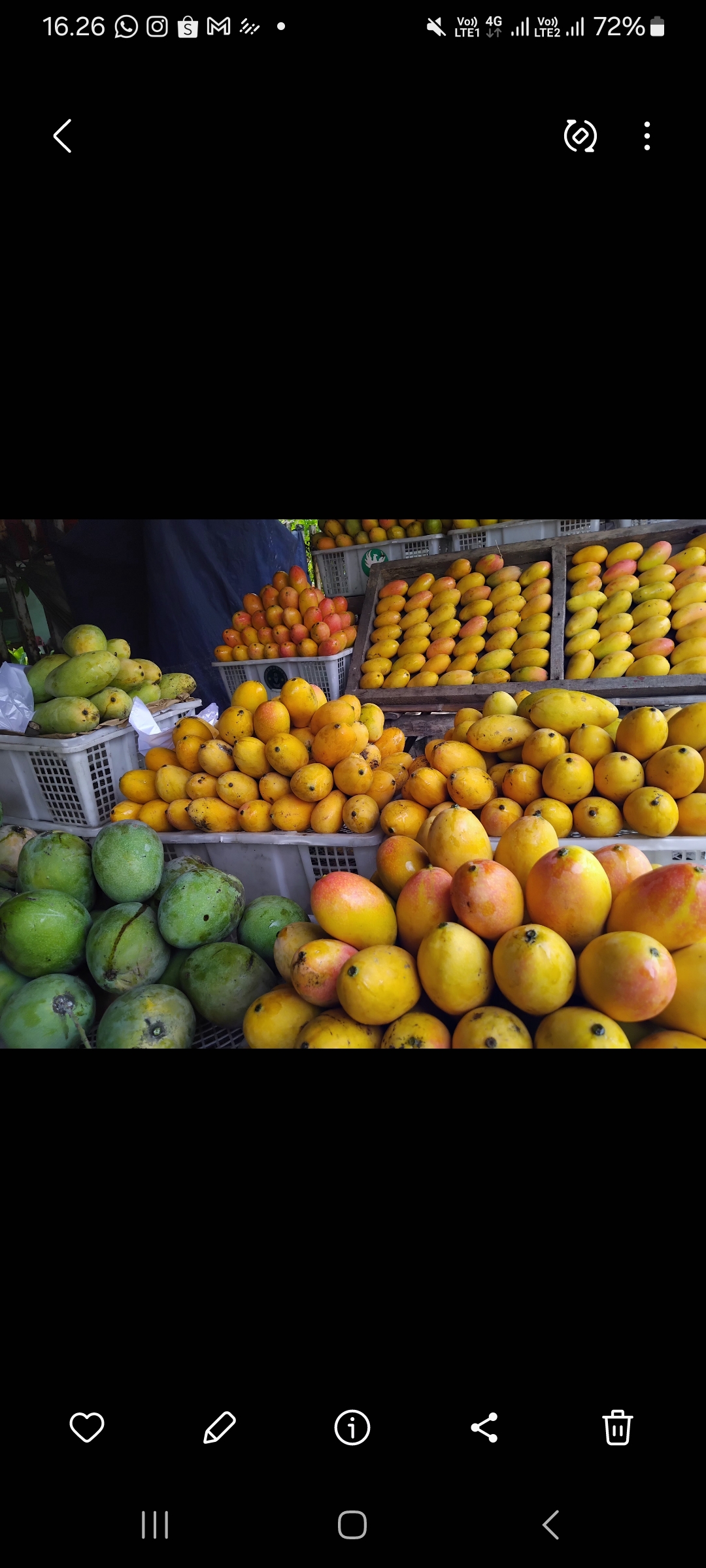 Mangga di Pasar Buah Banyakan (FOTO: Diana Yunita Sari)
