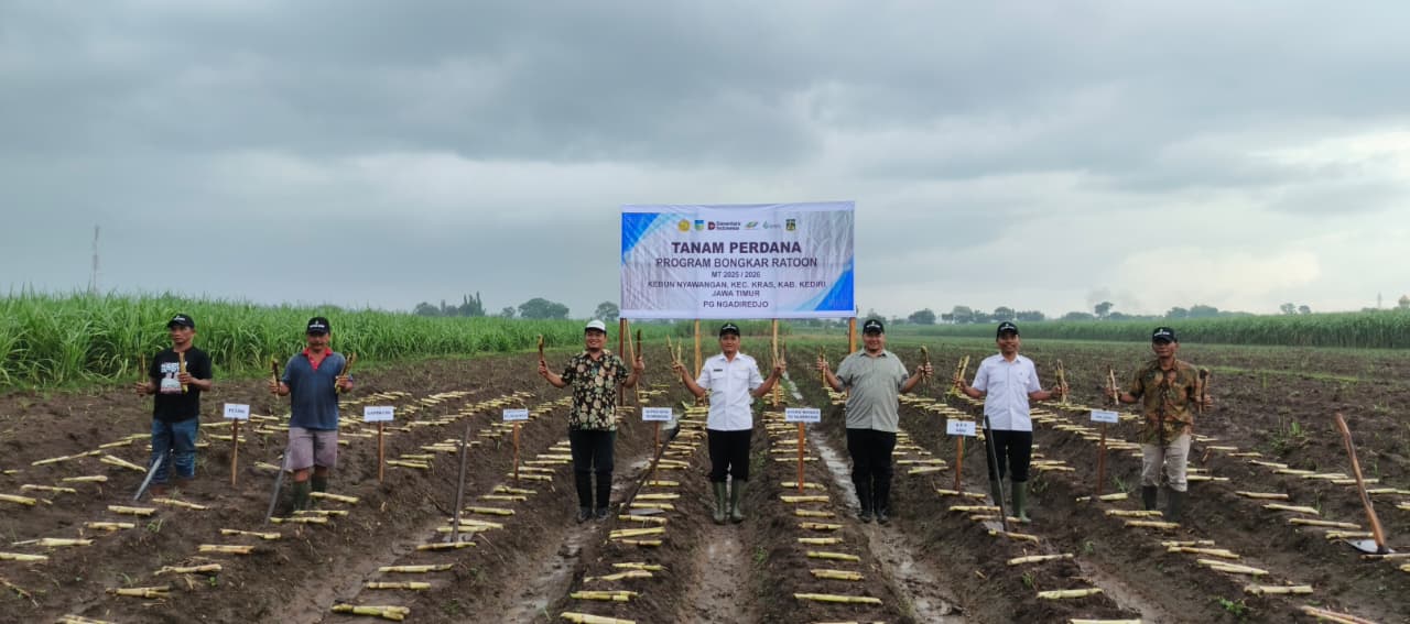 Tanam Perdana Program BR PG NG Kebun Nyawangan, Kec Kras.