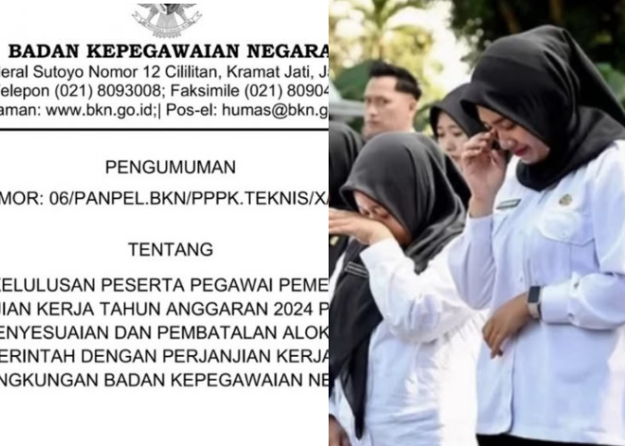 Pembatalan Kelulusan PPPK Paruh Waktu 2024 Tahap II