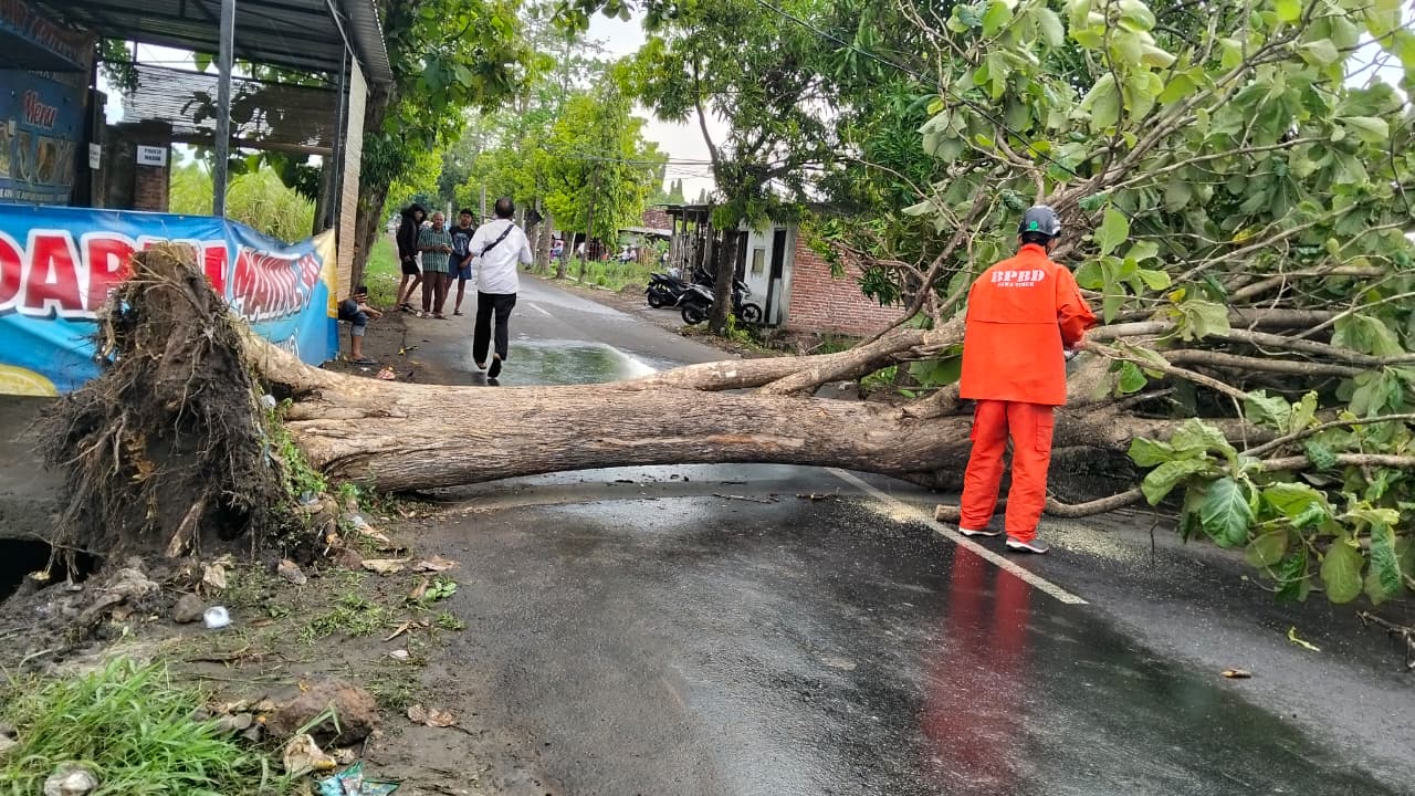 Petugas BPBD Kota Kediri menggergaji pohon yang mengahalangi jalan.