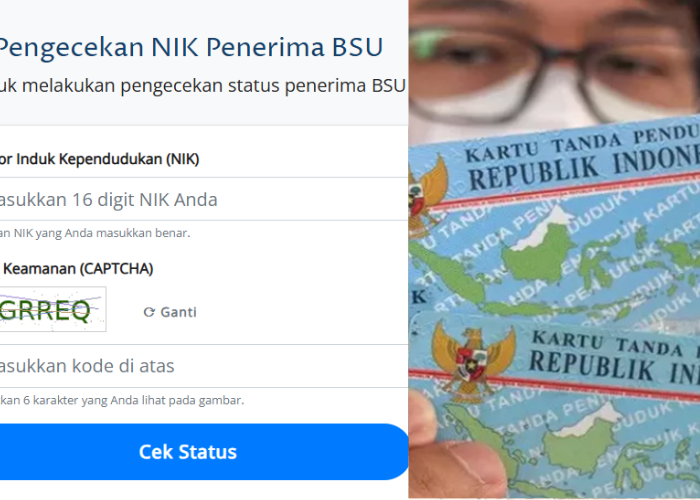 Cek BSU November 2025