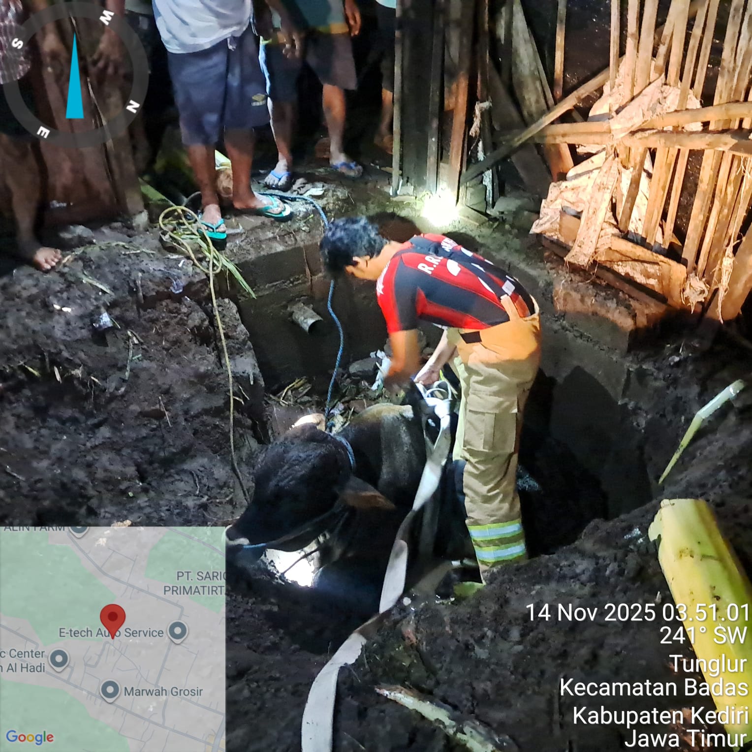MISI PENYELAMATAN: Seekor sapi masuk septic tank di Dusun/Desa Tunglur, Badas.