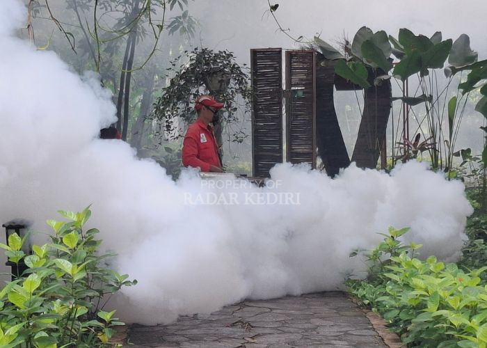 Fogging di Taman Hutan Joyoboyo Kota Kediri.
