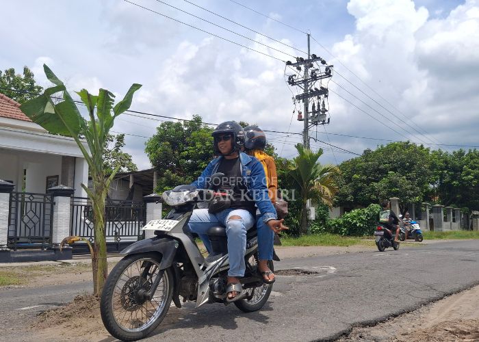HATI-HATI: Pengendara melintas di jalan Wates-Ngadiluwih masuk Desa Segaran yang ditanami dengan pohon pisang. Warga menanami pohon pisang tersebut sebagai wujud protes.