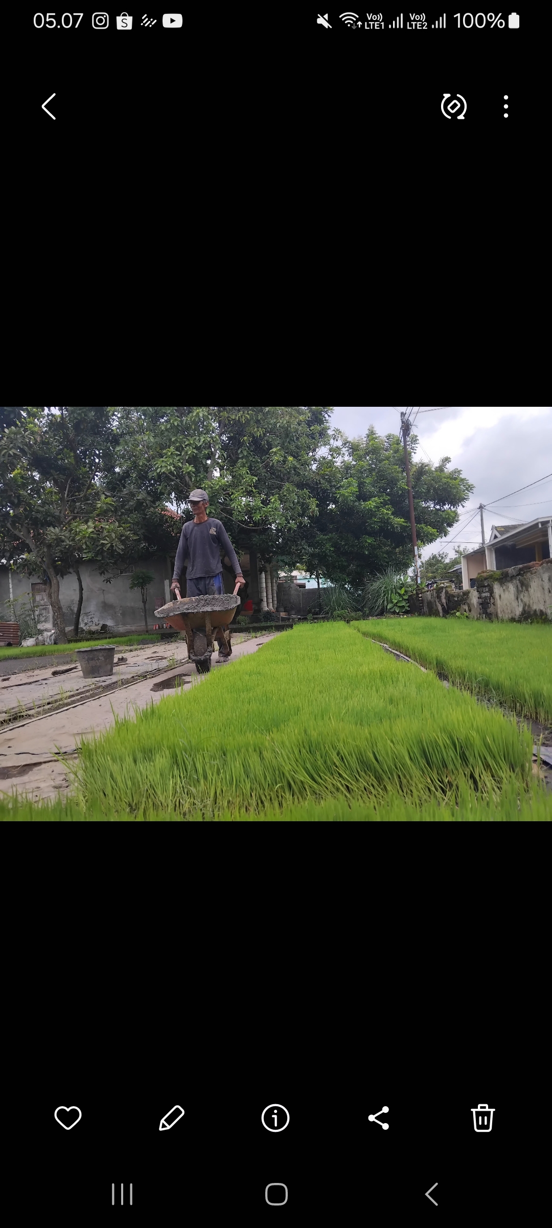 Purwoko menyiapkan media tanam untuk menyemai benih padi (Diana Yunita Sari)